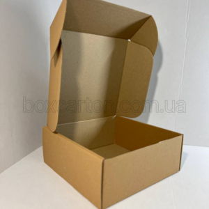 Коробка K0427_250х250х100mm (1-й)