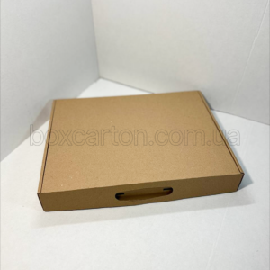 Коробка K0427_374x288x54mm (1-й)