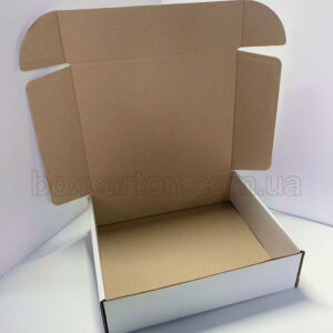 Коробка конструкції K0427 розміром 377×314×101 мм