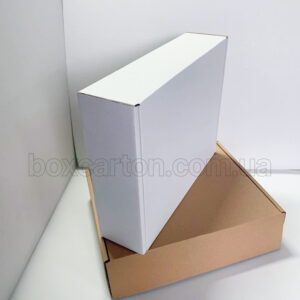 Коробка конструкції K0427 розміром 377×314×101 мм